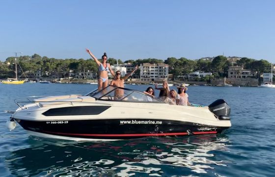 Bayliner VR6 caddy