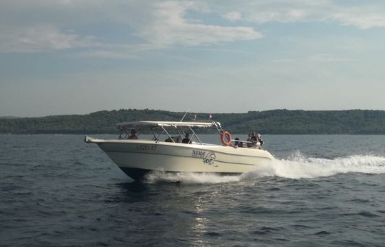 Enzo 35