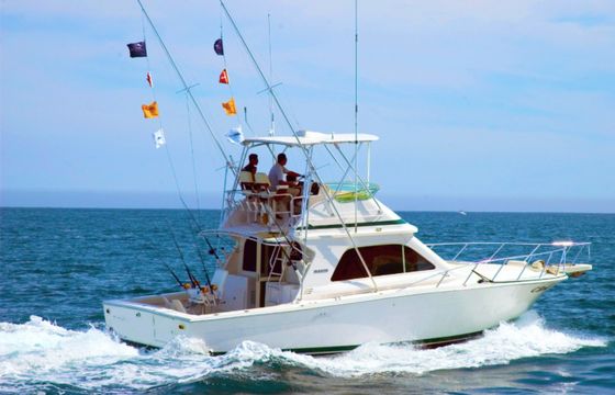 Bertram 42
