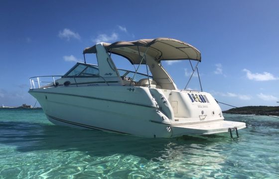 Sea Ray 290 Sundancer