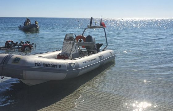 Zodiac Cherokee 480