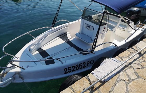 Bayliner Avanti
