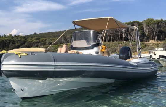 Salpa Soleil 23