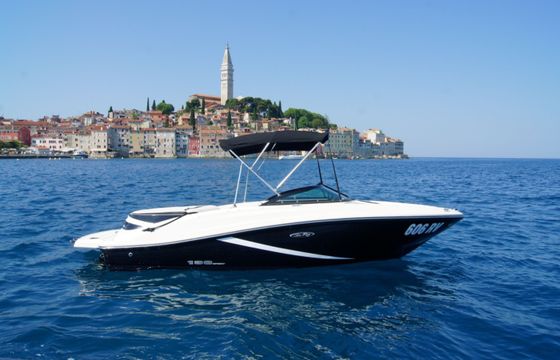 Sea Ray 190 Sport