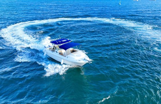 Wellcraft Scarab 30 Sport
