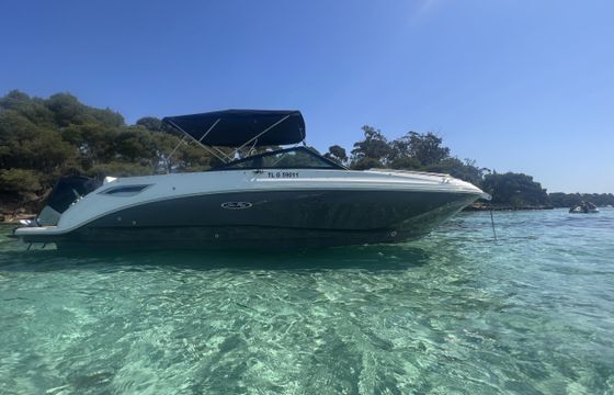 Sea Ray 250 sdx