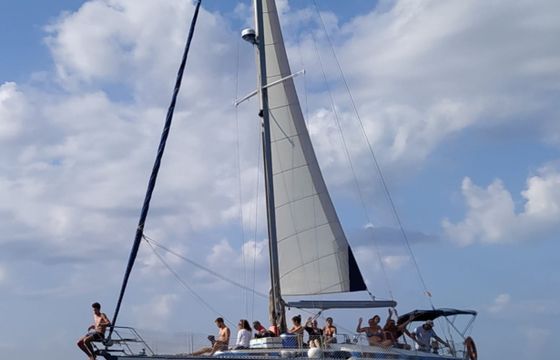 Stern Magoo 42
