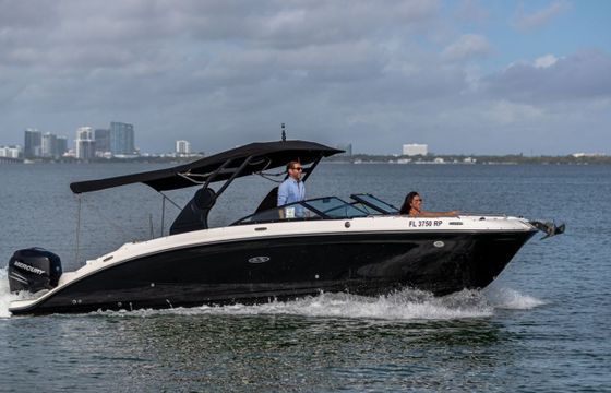 Sea Ray SDX