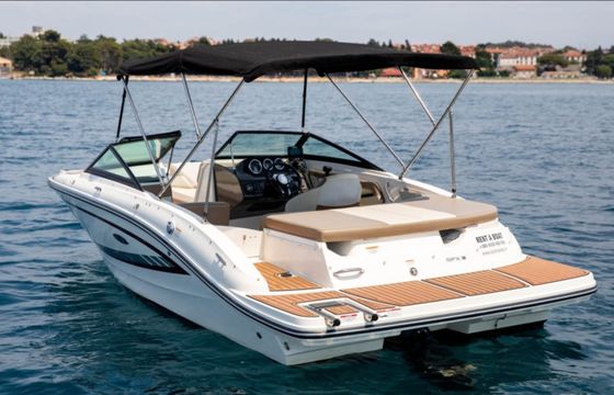 Sea Ray SPX 190