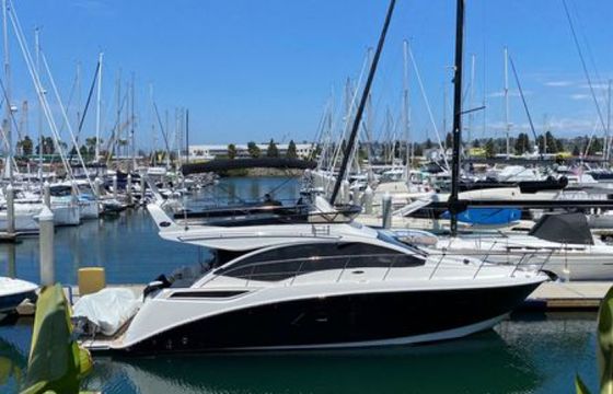 Sea Ray Fly 400