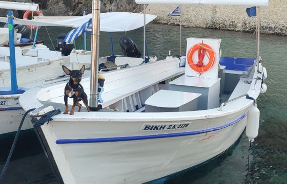 Wooden boat 7M