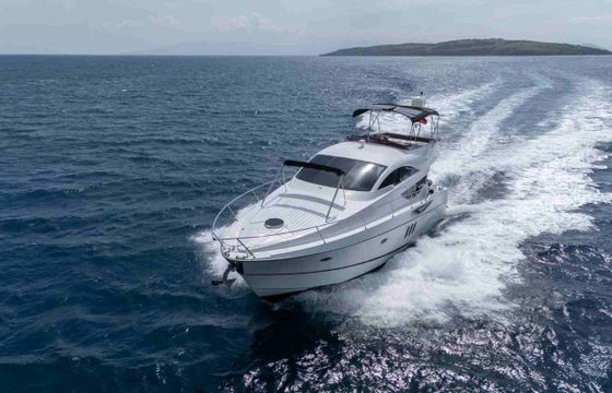 Numarine  55