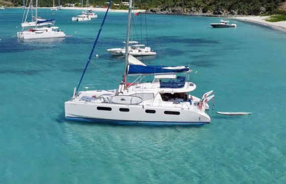 Leopard Catamarans / Robertson & Caine Leopard 46 - 4 cab.