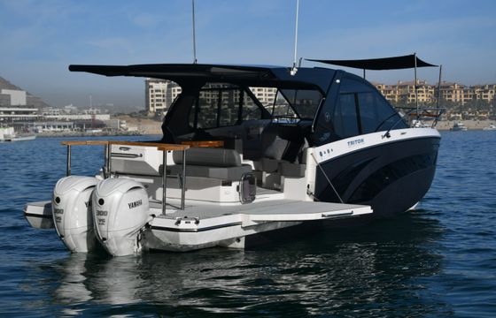 Yamaha FX HO