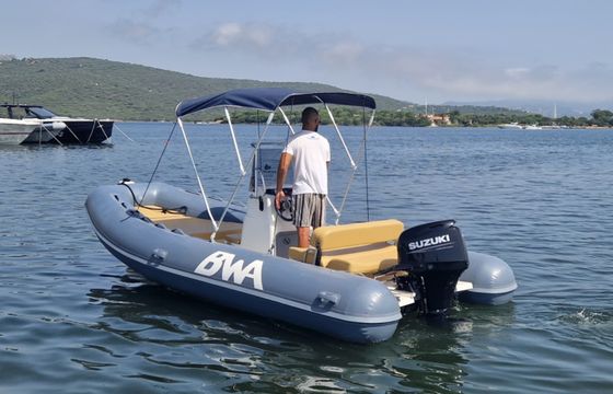 Bwa 550