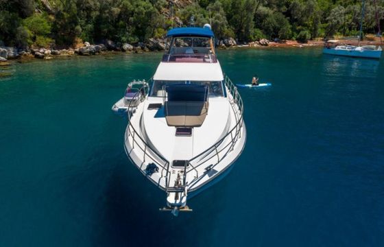 Neptune 550