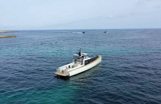 BUEHLER TURBOCRAFT Silverfine
