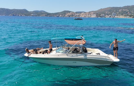 Sea Ray 260