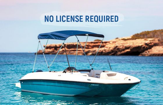 Bayliner Element
