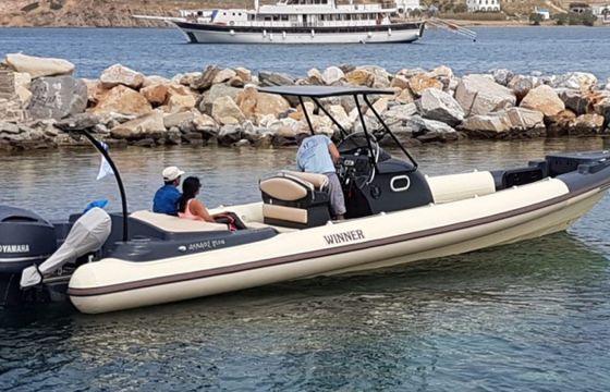 Winner Sport 33