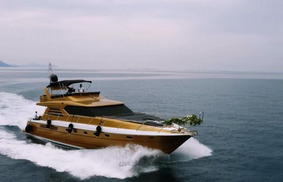 Princess 66