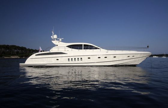 Arno Leopard Leopard 24