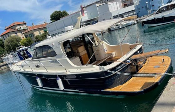 Sas Vektor ADRIANA 36