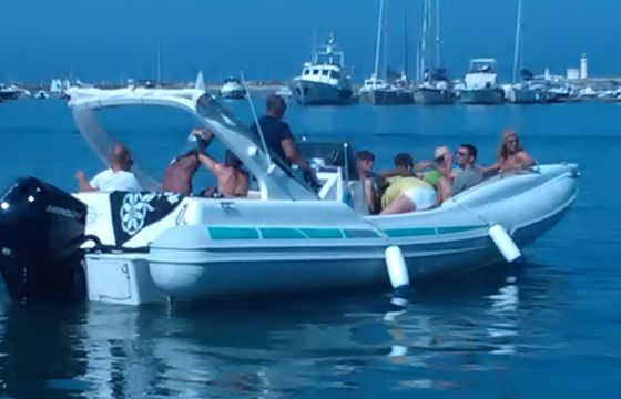 Stingher A800