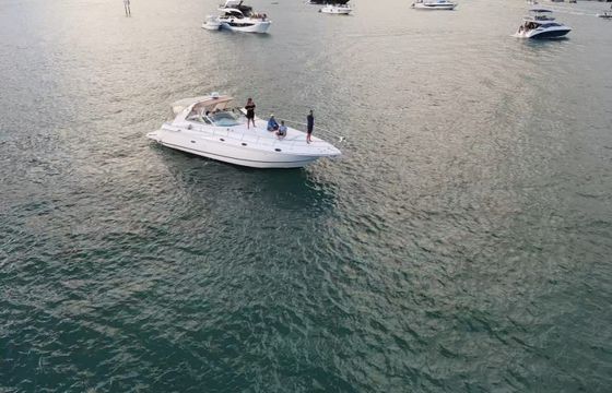 Cruisers 460