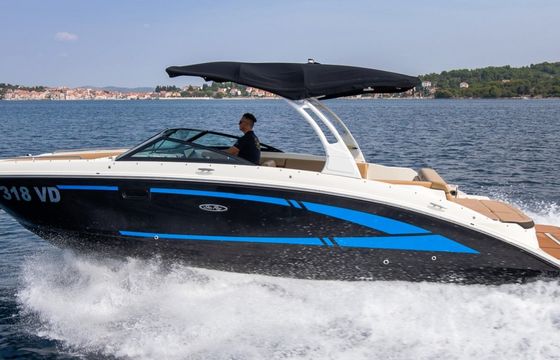 Sea Ray SDX 270