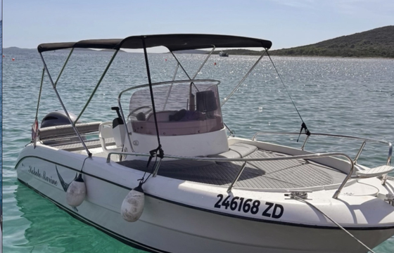 Fisher 20