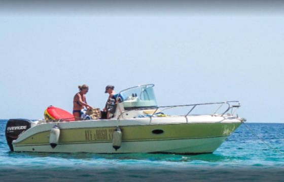 Sessa Marine 650 Timonier