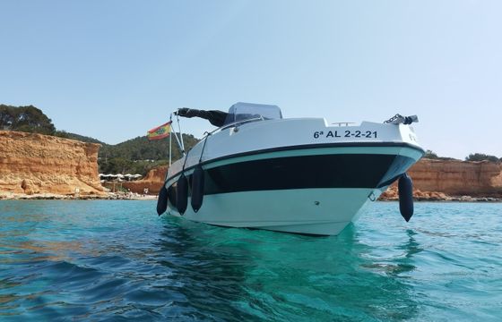 Yamaha Nireus