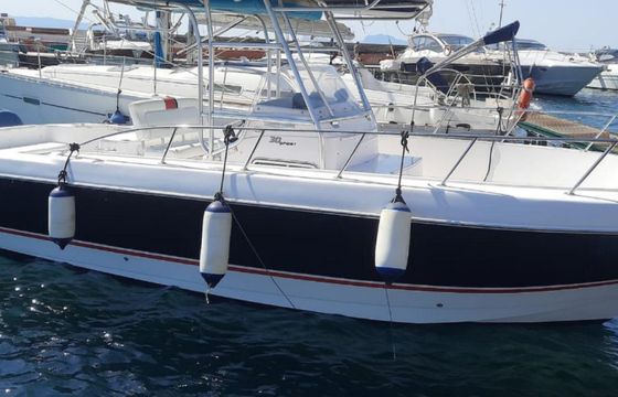 Pro Line Wa 30