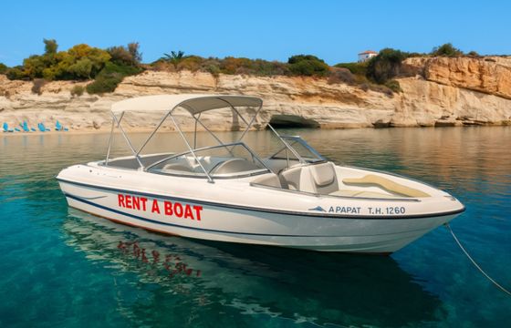 Bayliner 225 BR