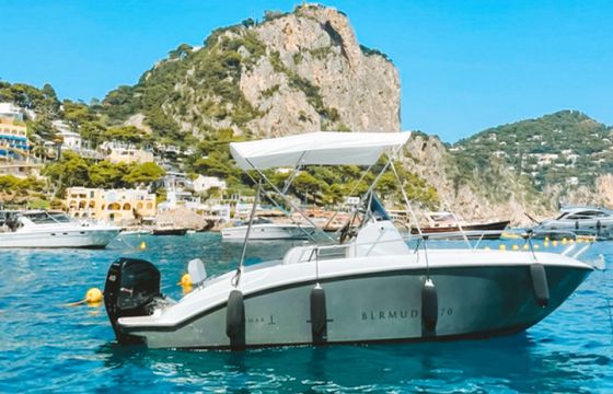 Romar Bermuda 570