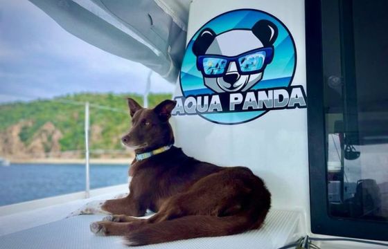 Fountaine Pajot Lucia 40