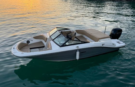Sea Ray 190 SPX
