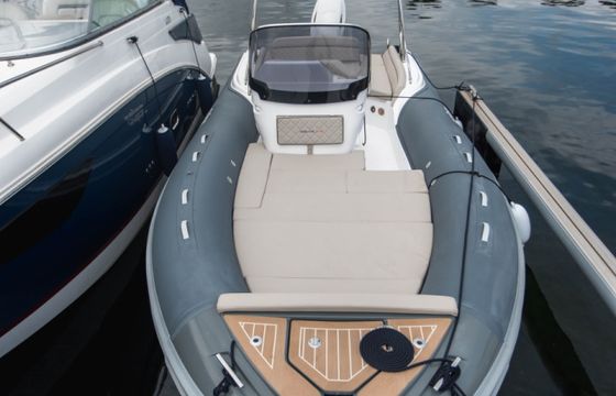 Salpa Soleil 23