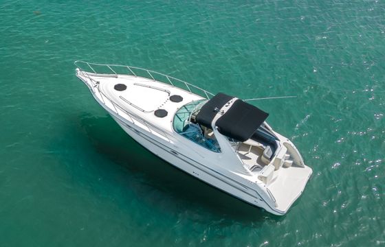 Maxum 38