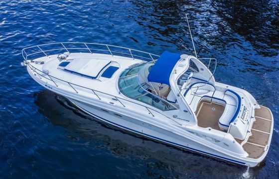 Sea Ray Sundancder 45