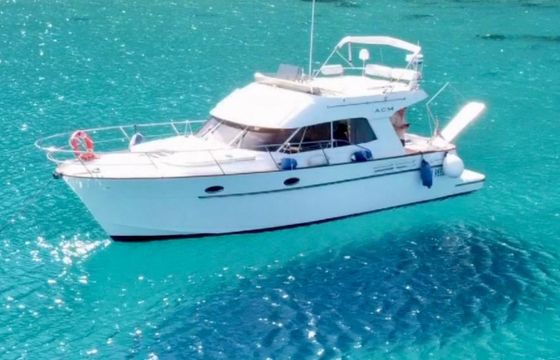 ACM EXCELLENCE 38