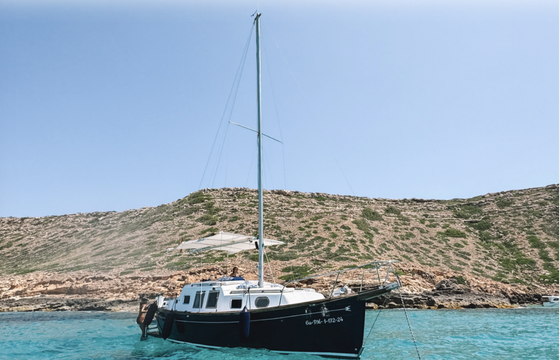 Myabca Delfin 28