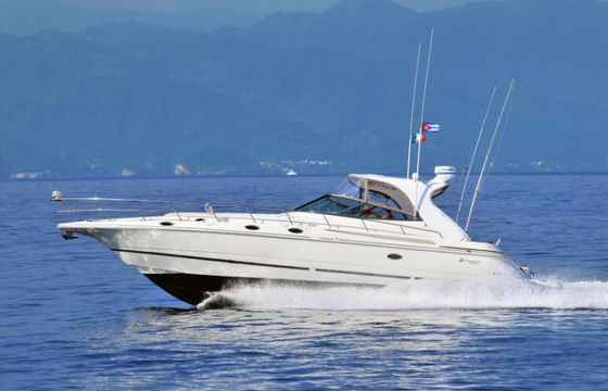 Cruisers 44