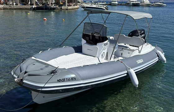 Salpa Soleil 20