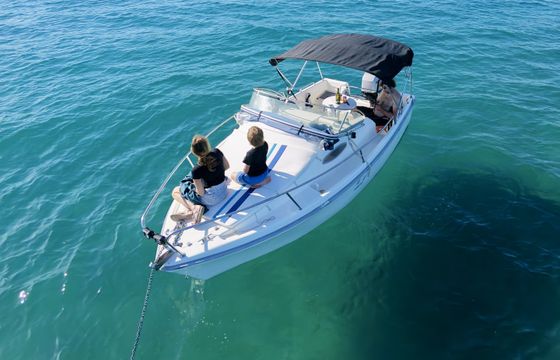 Sbpem Eurofish 520