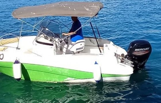 Quicksilver Commander 555