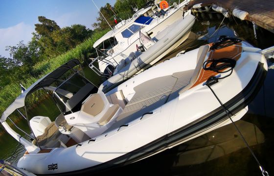 Salpa Soleil 26
