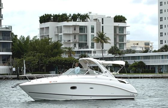 Sea Ray 300 Sundancer