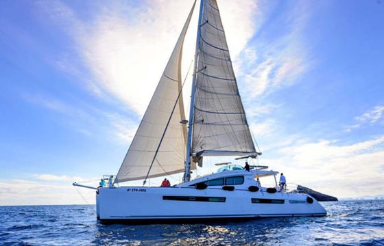 Alliaura-Marine Privilege 615